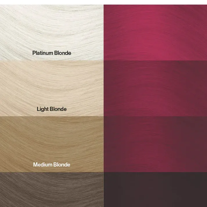 צבע שיער חציל Aubergine